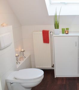 toilet